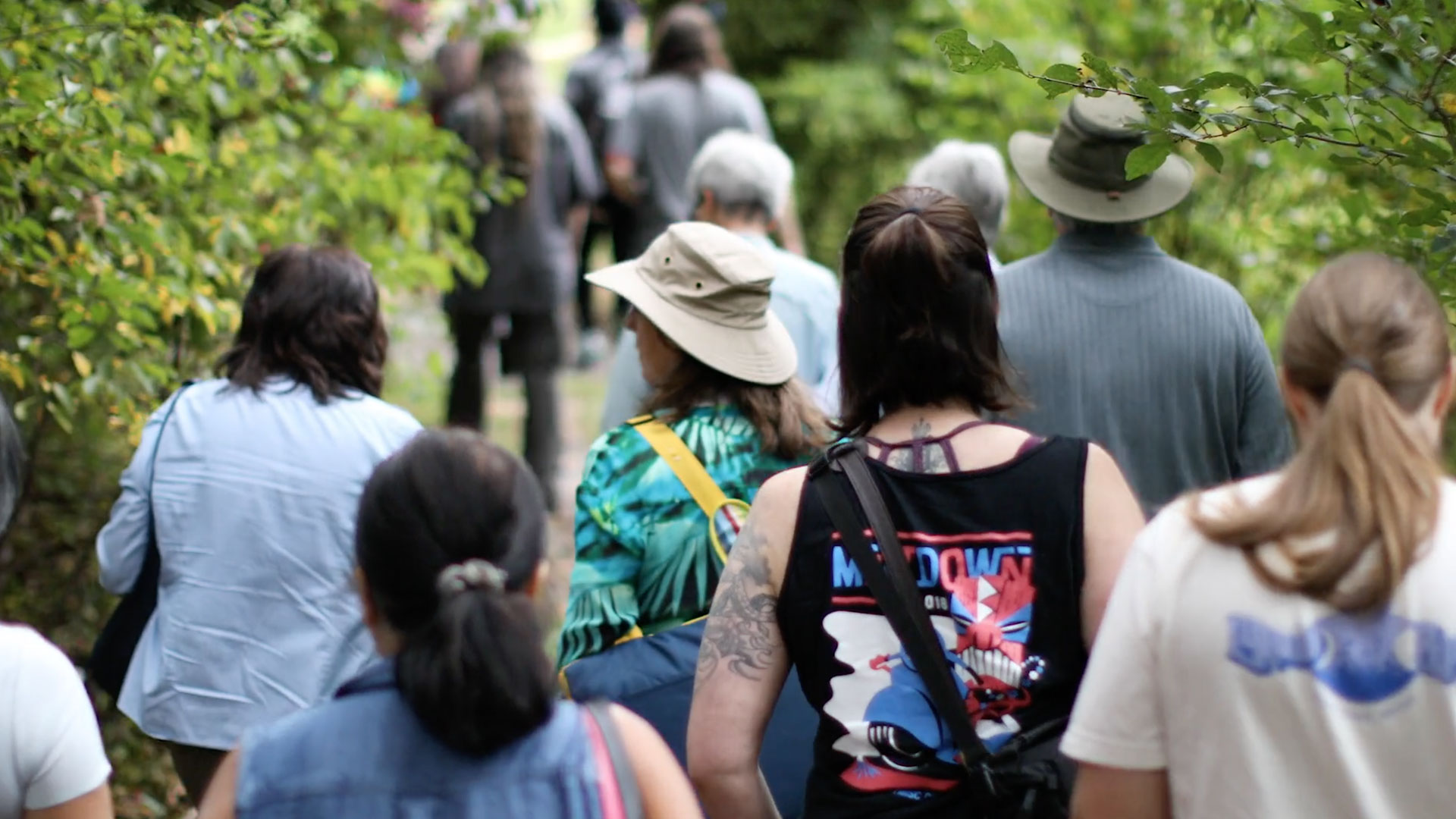 Guided Nature Hike and Tour