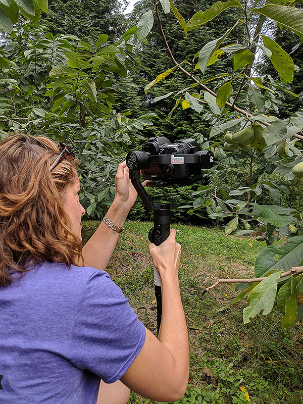 Kelly Heck Using Her Canon 5D Mark Iv and Zhiyun Crane 2
