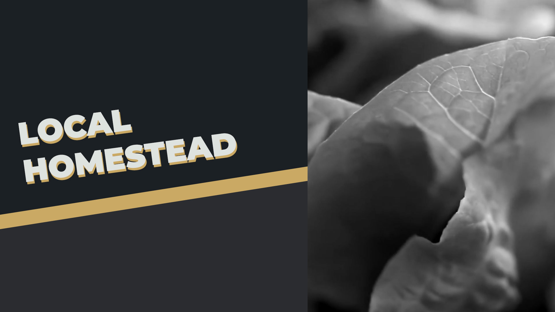 Local Homestead Products – About Us